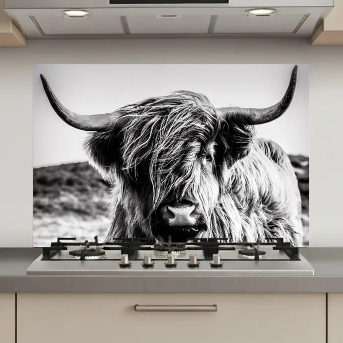 Koe - Schotse hooglander - Zwart - Wit - Dier - Natuur - Wild keuken achterwand spatscherm klein -3d_website