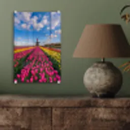 Tulpen - Holland - Molen - Kleurrijk plexiglas 5mm klein -sfeer3