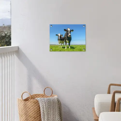 Koeien - Weiland - Gras - Dieren - Boerderij tuinposter los doek klein -sfeer8