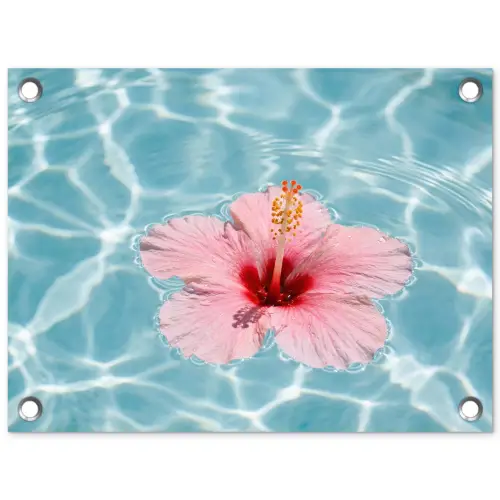 Hibiscus - Water - Roze tuinposter los doek klein -3d