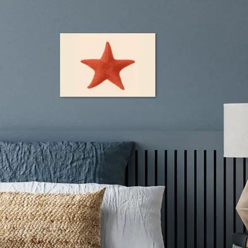 Zeester - Bobbels - Rood poster papier klein -sfeer2