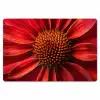 Close up - Bloem- Rood Placemat vinyl groot -zzsfeer1_Kitchenyeah-website
