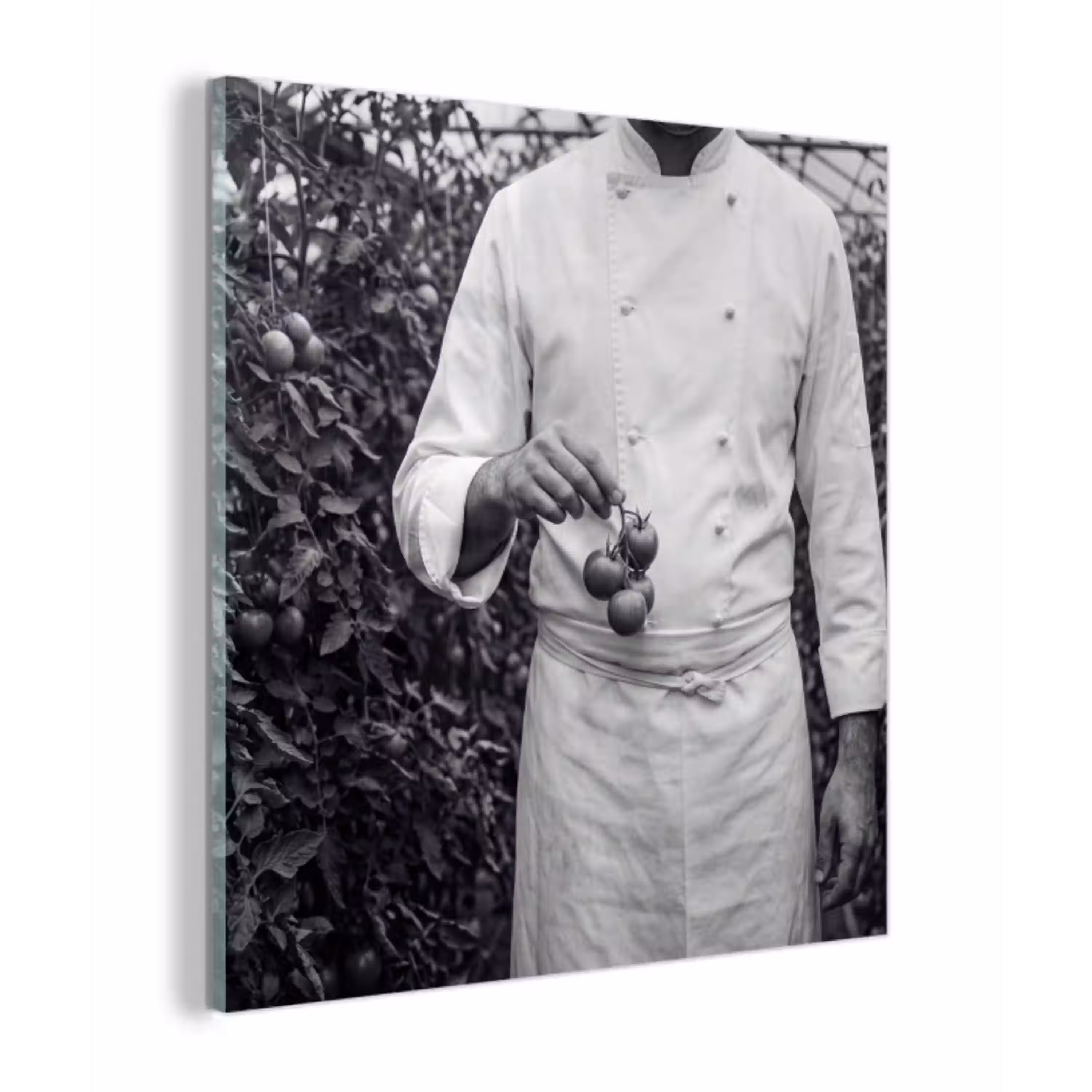 Tomaten - Chef - Zwart - Wit plexiglas 5mm klein -z3d