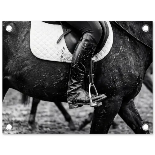 Paard - Sport - Zwart - Wit tuinposter los doek klein -3d