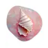 Schelp - Pastel - Pink Wandcirkel Organisch Plexiglas middel -3d