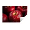 Rood - Appels - Fruit Muursticker klein -3d