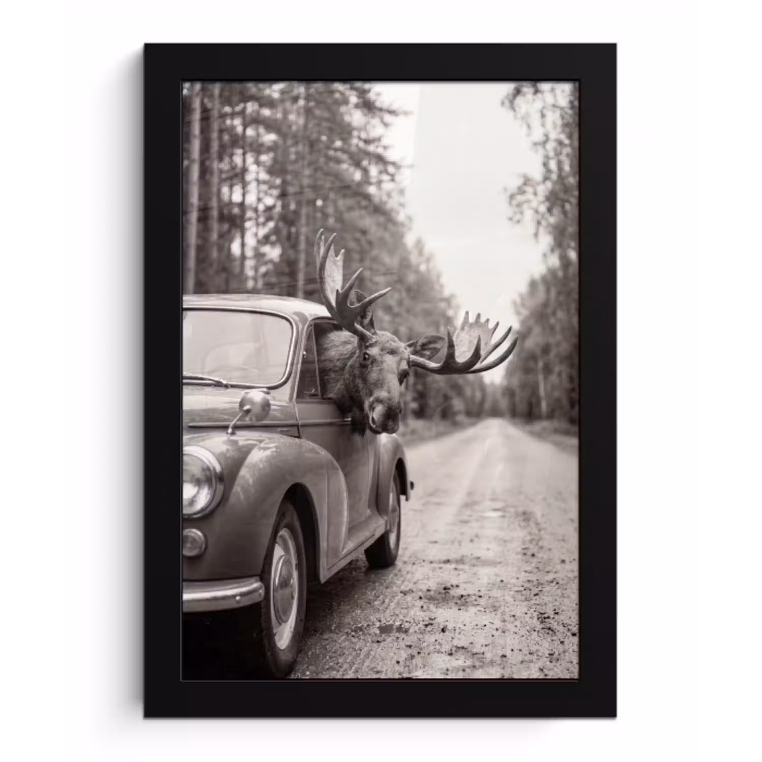 Eland - Auto - Gewei - Zwart - Wit fotolijst zwart zonder passe partout klein -3d