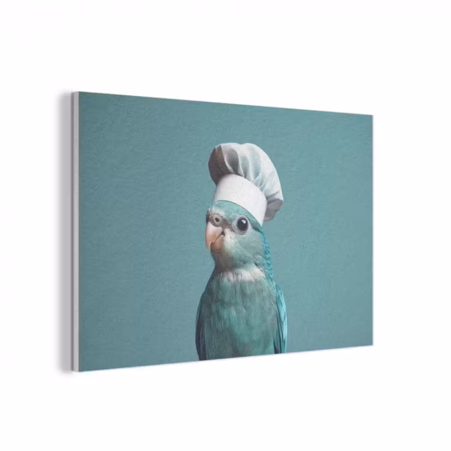 Akustikbild - Sittich - Vogel - Kochmütze - Niedlich
