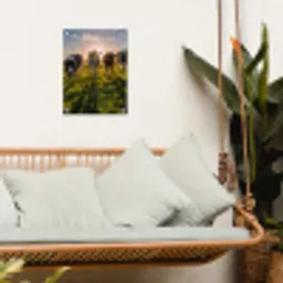 Koeien in de ochtendzon tuinposter los doek klein -sfeer7