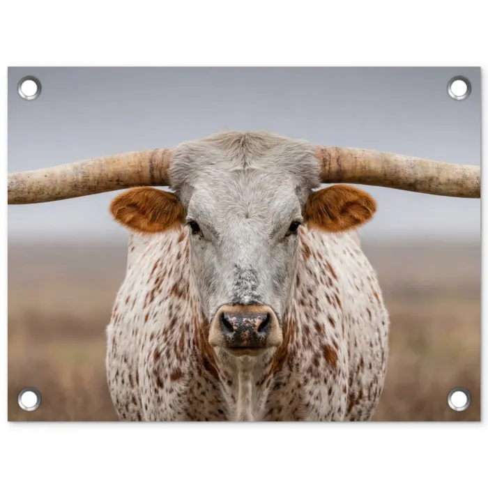 Longhorn - Grasveld - Dier tuinposter los doek klein -3d