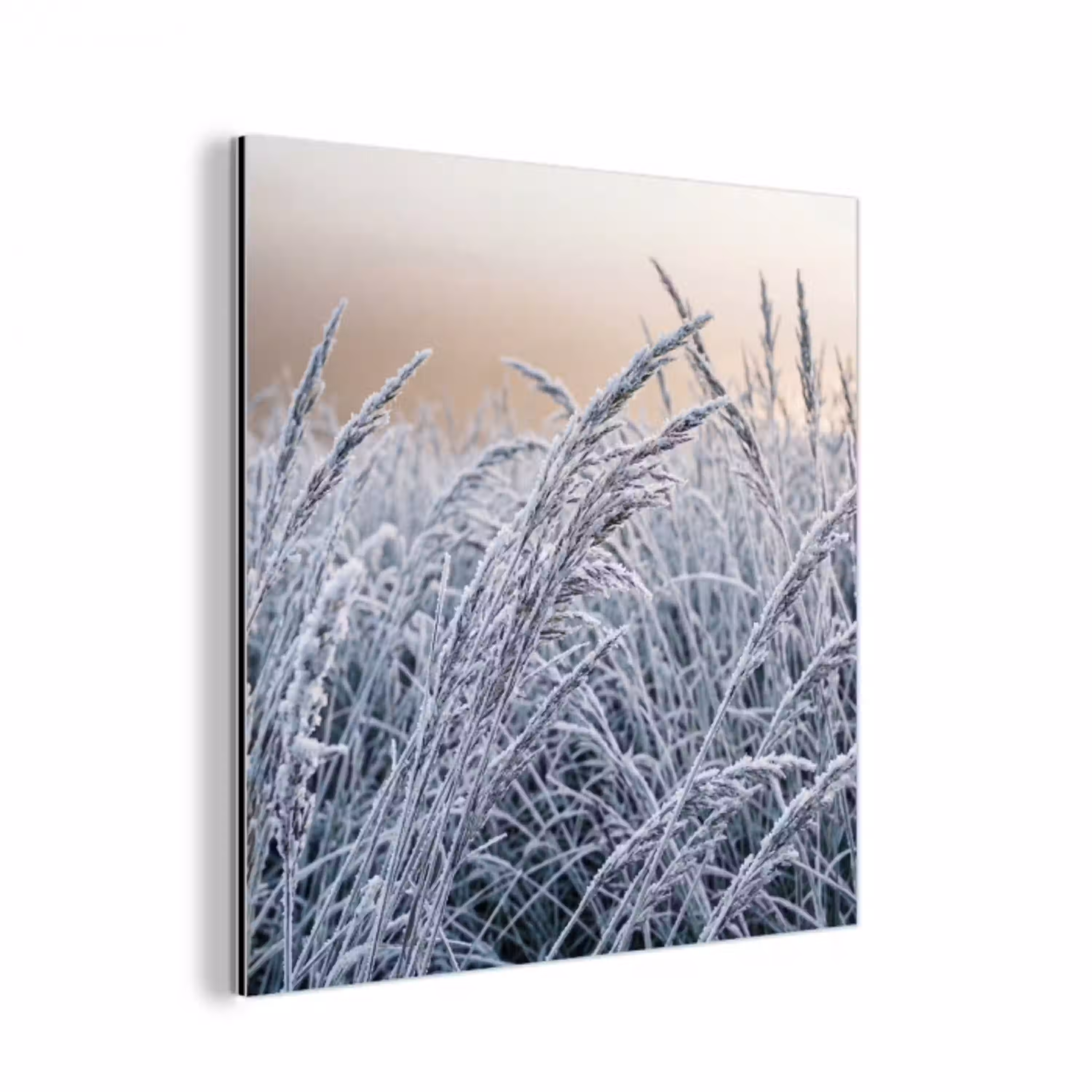 Rijp - Gras - Kristallen - Winter - Minimalistisch aluminium wit klein -3d