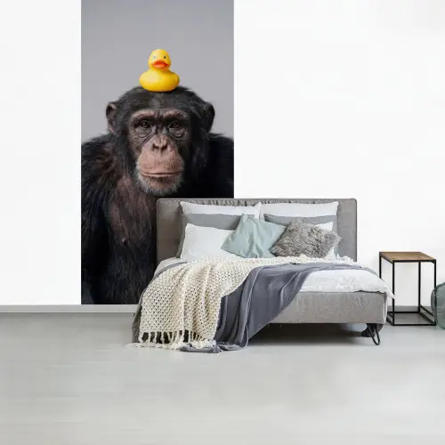 Chimpansee - Badeend - Grijs fotobehang vinyl groot -slaapkamer