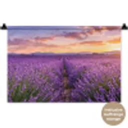 Lavendel - Veld - Natuur - Paars Wandkleed katoen klein -t3d_DE