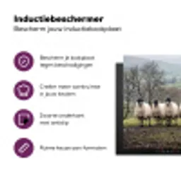 Schapen - Rij - Weide - Dieren - Platteland Inductie beschermer vinyl 3mm middel -zzzzzzz-cc-usp