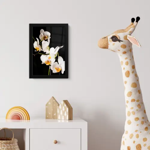Orchidee - Bloemen - Planten - Botanisch fotolijst zwart zonder passe partout klein -usfeer4_kinderkamer