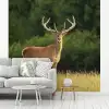 Hert - Gewei - Gras - Natuur - Dieren - Groen fotobehang vinyl groot -woonkamer