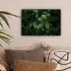 Sparrentakken - Knoppen - Naalden - Groen canvas 2cm klein -sfeer1