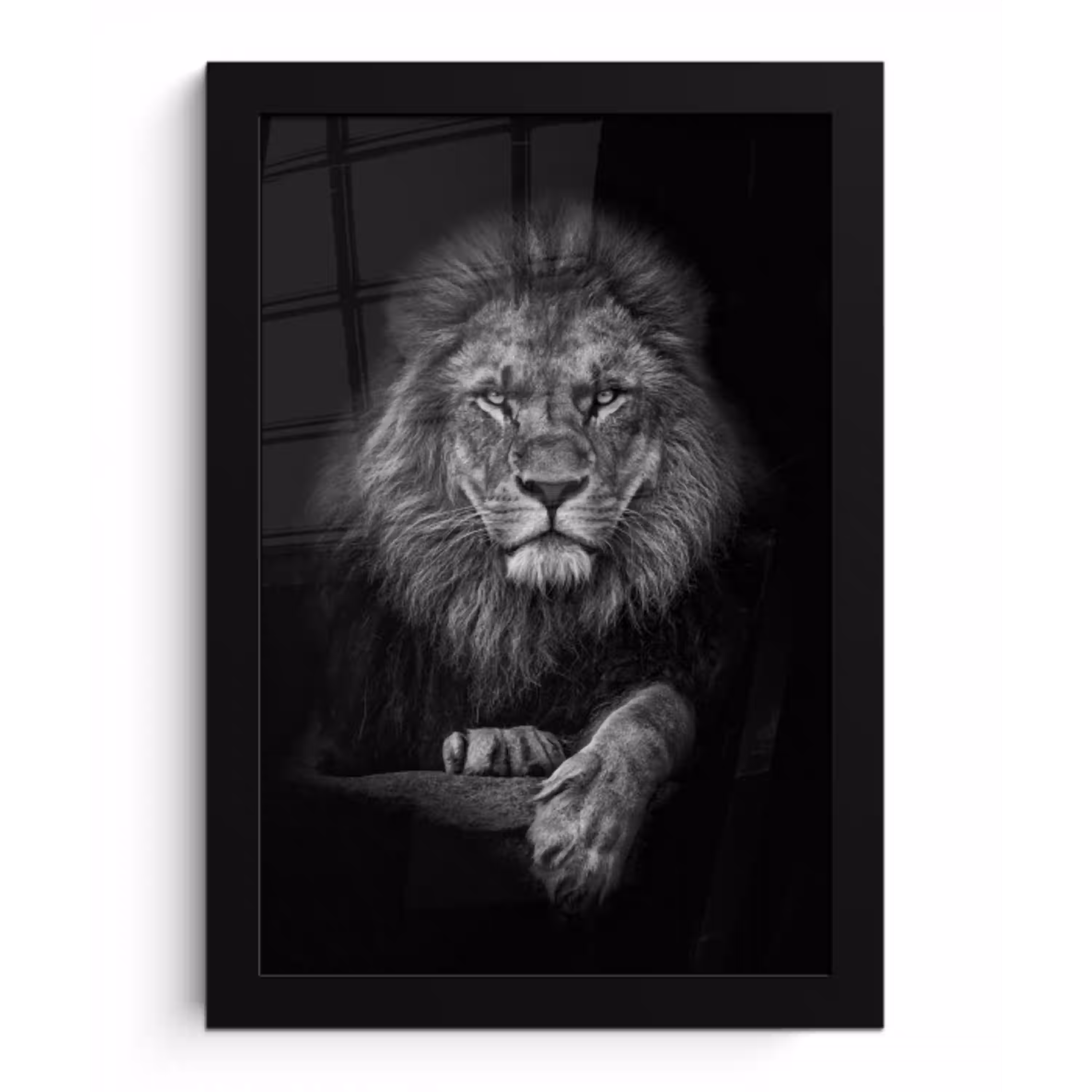 Leeuw - Dieren - Zwart - Wit fotolijst zwart zonder passe partout klein -3d
