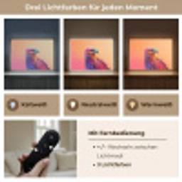 Arend - Vogel - Kleurrijk - Dier Light Box met batterij (Wandlamp kind) middel -USP_lichtkleurDE