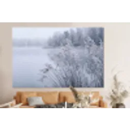 Riet - Bevroren - Winter - Natuur forex 5mm xxl -bovenbank