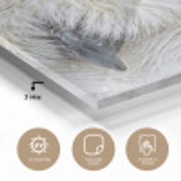 Sneeuwuil - Oog - Wildlife - Wit plexiglas 5mm klein -sfeer2