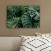 Planten - Jungle - Bladeren - Tropisch canvas 2cm klein -sfeer3