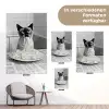 Kat - Siamees - Zwart Wit - Schattig - Dieren tuinposter los doek klein -Xsfeer9_DE