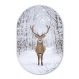 Hert - Winter - Bos - Natuur - Wit Wandcirkel Ovaal Forex klein -3d
