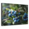 Blauwe bessen - Dauwdruppels - Natuurlijk licht Textielframe zwart klein -3d