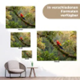 Ara - Jungle - Rood tuinposter los doek klein -Xsfeer9_DE