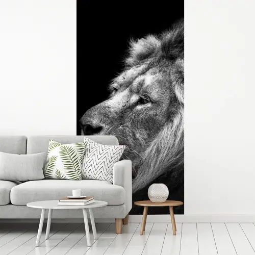 Leeuw tegen zwarte achtergrond in zwart-wit fotobehang vinyl groot -woonkamer