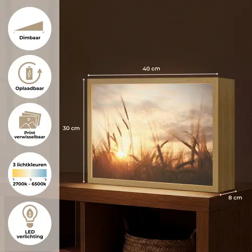 Riet - Gras - Zonsondergang - Natuur - Horizon Light Box met batterij (Wandlamp) middel -USP_websiteoverzichtNL