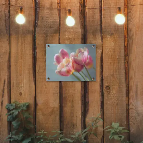 Tulpen - Roze - Stelen tuinposter los doek klein -sfeer1