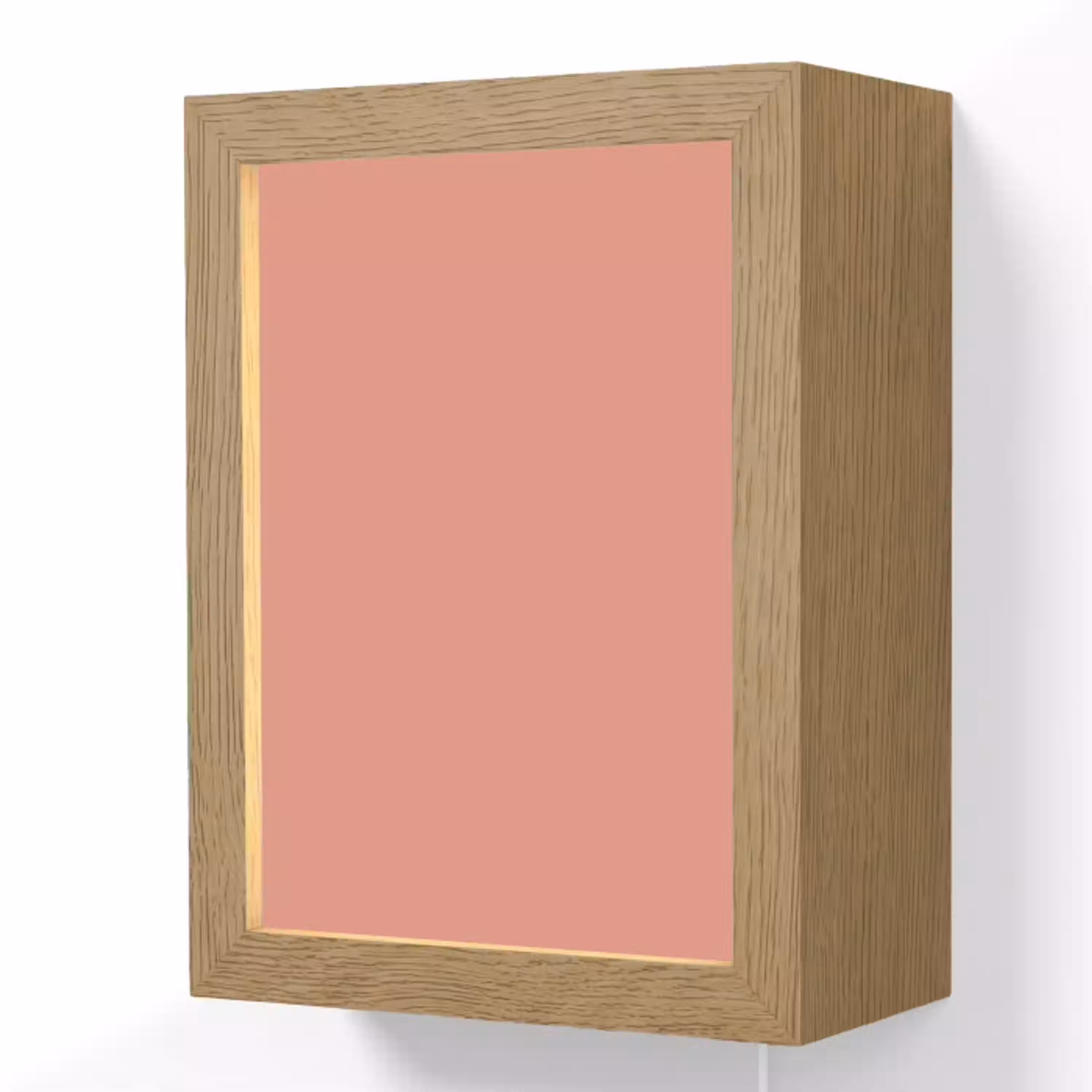 Earthy - Rose - Koraal Light Box met kabel (Wandlamp) klein 929 -3d