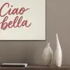 Ciao bella - Rood - Wit - Minimalistisch PET vilt klein -sfeer6_closeup