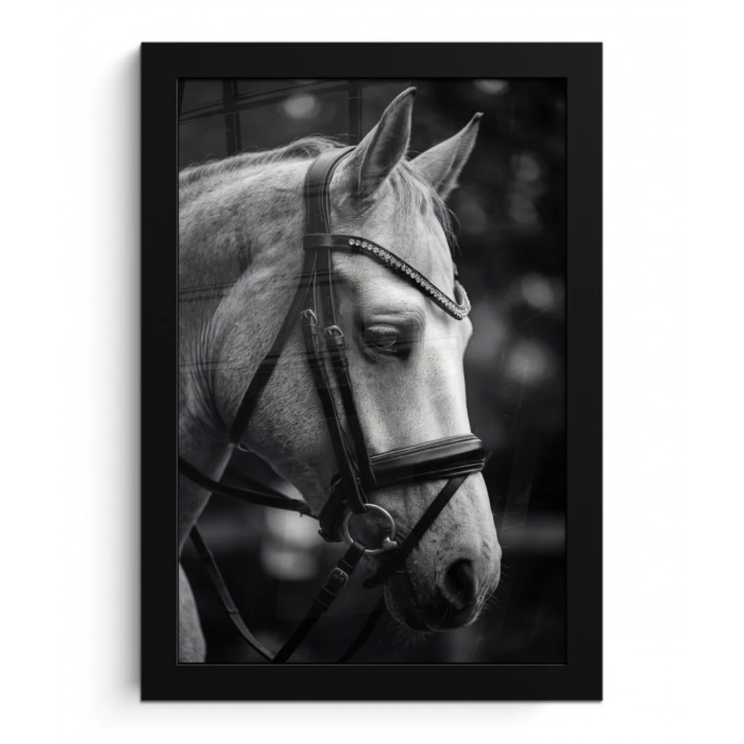Paard - Schimmel - Portret fotolijst zwart zonder passe partout klein -3d
