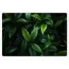 Bladeren - Regendruppels - Licht - Groen Placemat vinyl groot -zzsfeer1_Kitchenyeah-website