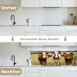 Koeien - Portret - Weide - Boerderij - Nieuwsgierig keuken achterwand 2 middel -voor-na_DE