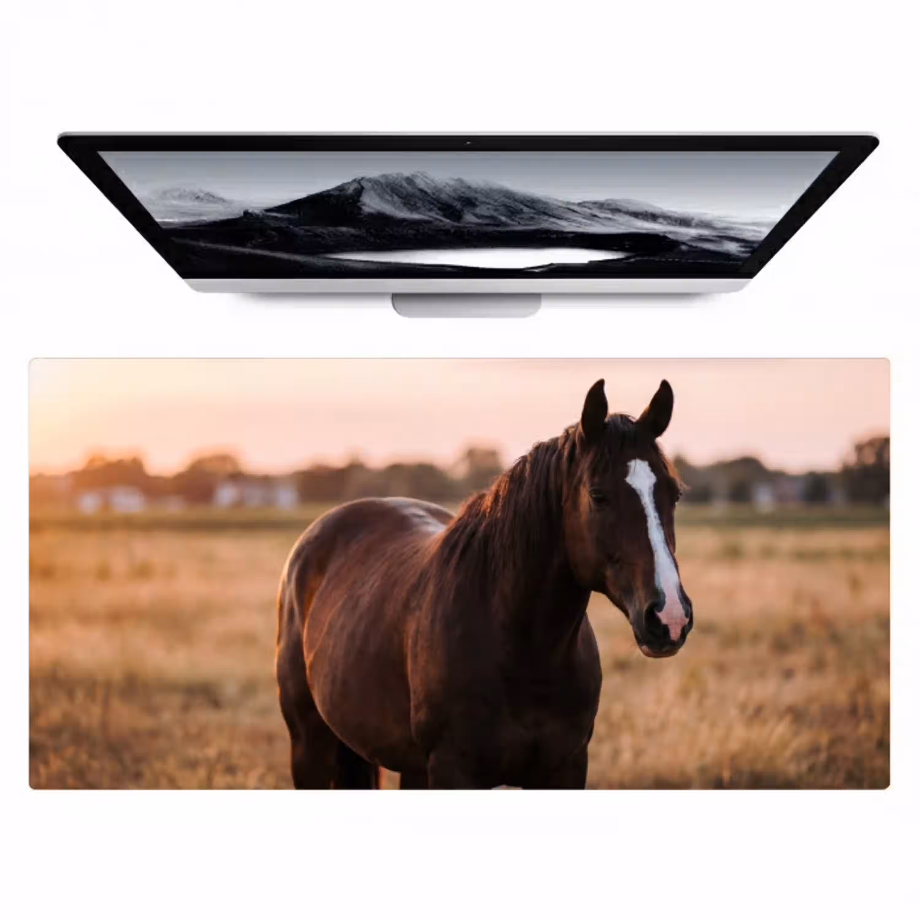 Paard - Zonsondergang - Bruin Muismat XXL klein -zzz3d