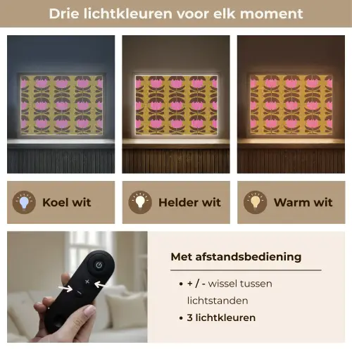 Abstract - Bloemen - Roze Light Box met batterij (Wandlamp) middel 907 -USP_lichtkleurNL