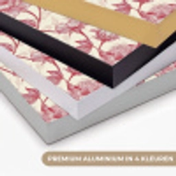 Pioenrozen - Modern -  Rood Textielframe zwart klein 947 -USP_kleurenNL
