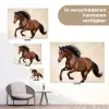 Paard - Galop - Energie tuinposter los doek klein -Xsfeer9_DE