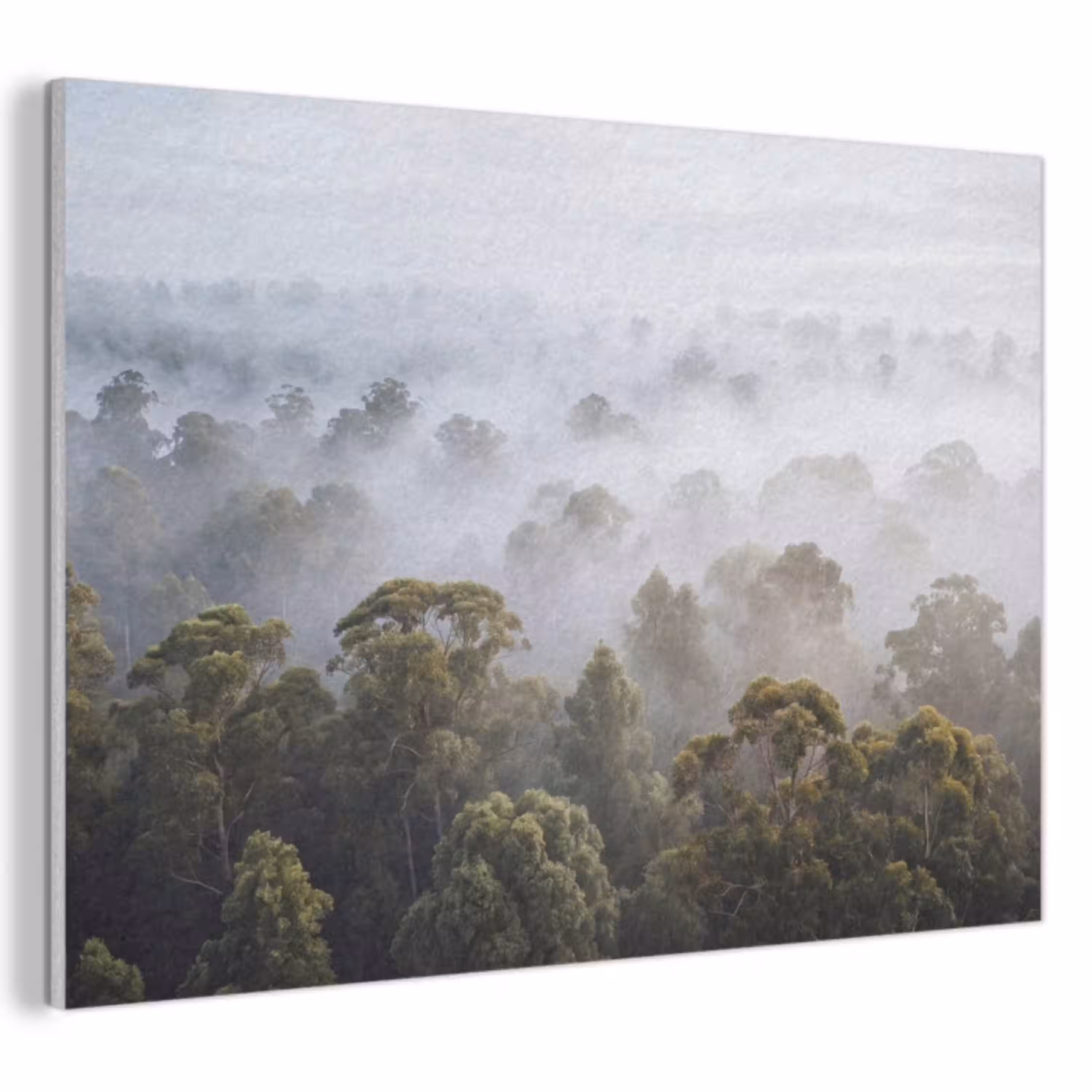 Natuur - Mist - Bos - Ochtend - Goud PET vilt klein -3d