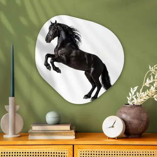Zwart - Paard - Portret Wandcirkel Organisch Aluminium middel -sfeer2