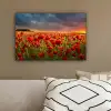 Zonsondergang - Klaprozen - Rood - Bloemen - Veld - Natuur canvas 2cm klein -sfeer3