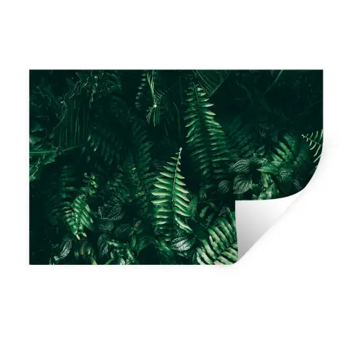 Bladeren - Jungle - Natuur - Tropisch - Planten Muursticker klein -3d