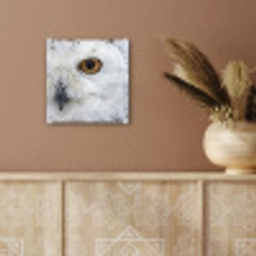 Sneeuwuil - Oog - Wildlife - Wit plexiglas 5mm klein -sfeer5