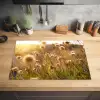 Planten - Natuur - Bloemen - Zon - Horizon Inductie beschermer vinyl 3mm klein -sfeer5