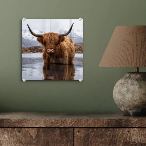 Schotse hooglander - Bruin - Water plexiglas 5mm klein -sfeer3