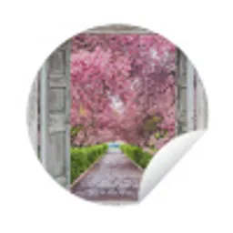 Sakura - Doorkijk - Boom - Kersenbloesem Wandcirkel tuinposter met ringen klein -3d